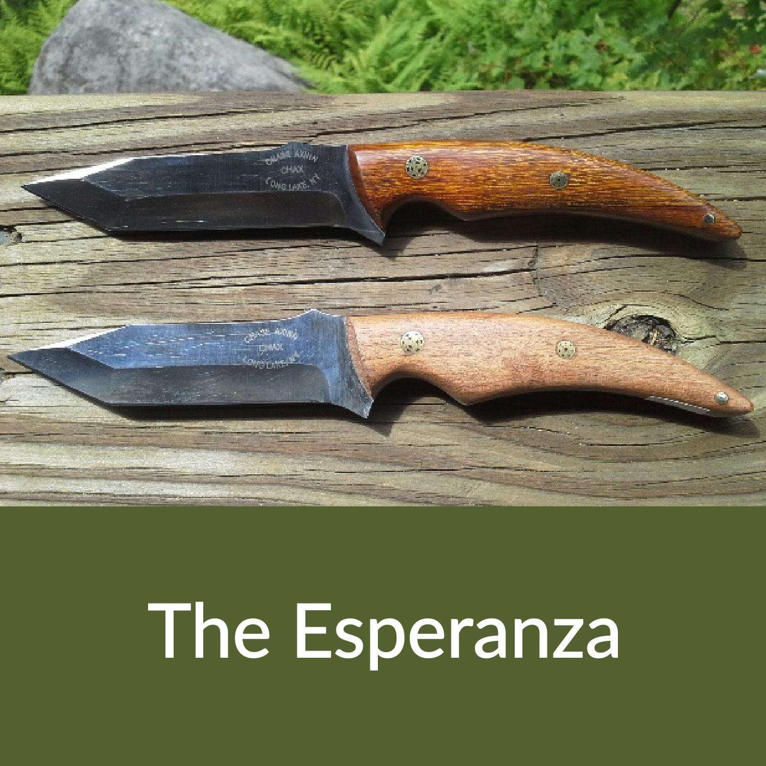 The Esperanza